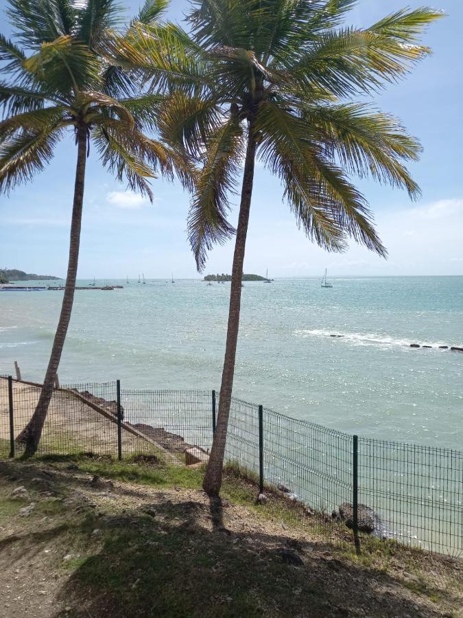 Grand Studio De 41 M², Vue Mer Et Jardin Tropical. 르 고지에 외부 사진